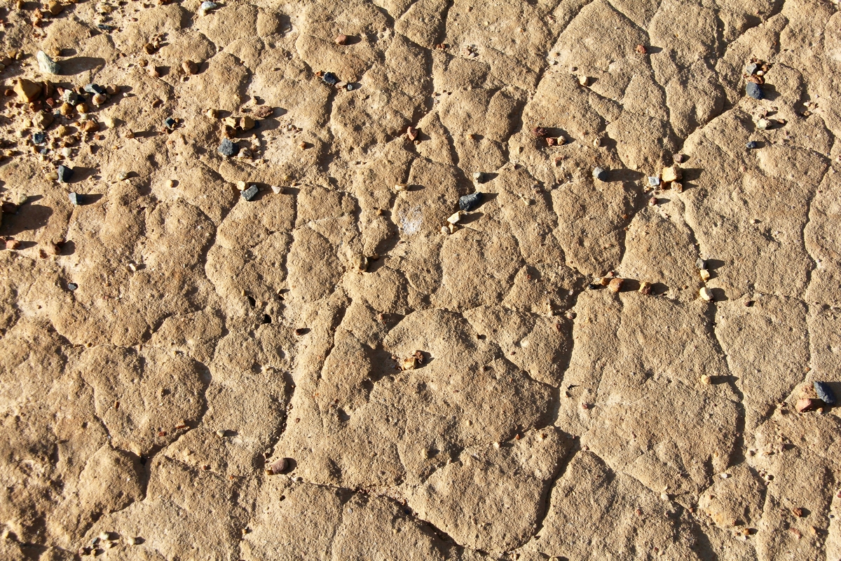 Devotion for Friday, November 14, 2025